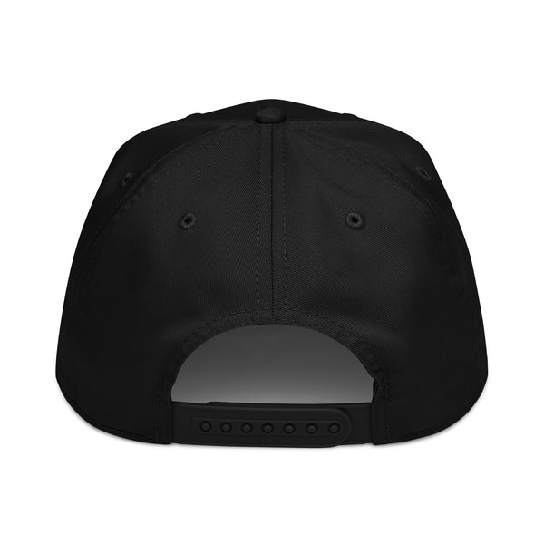 FTF Series 1 - 5 Panel Baseball Cap back